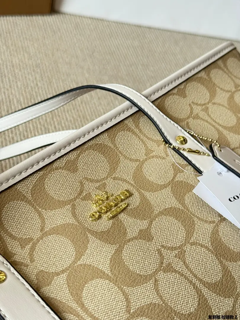 4183-65-coach gallery