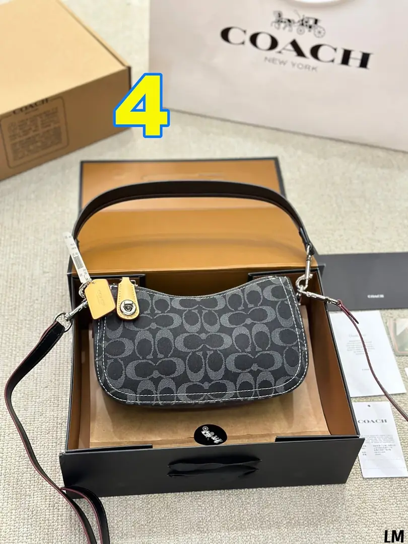 4185-69-coach gallery