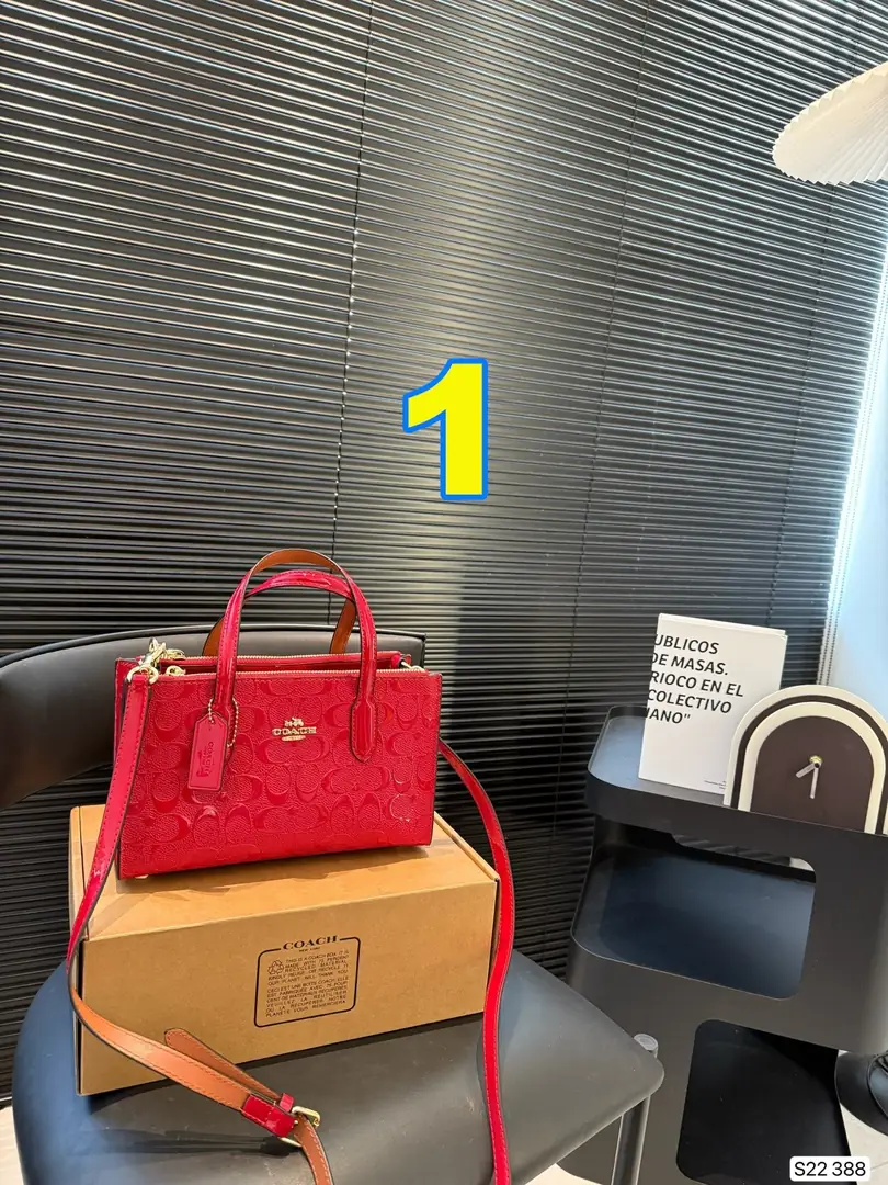 4188-69-coach gallery