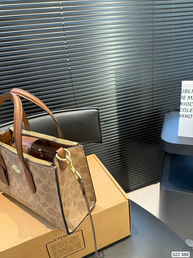 4188-69-coach gallery