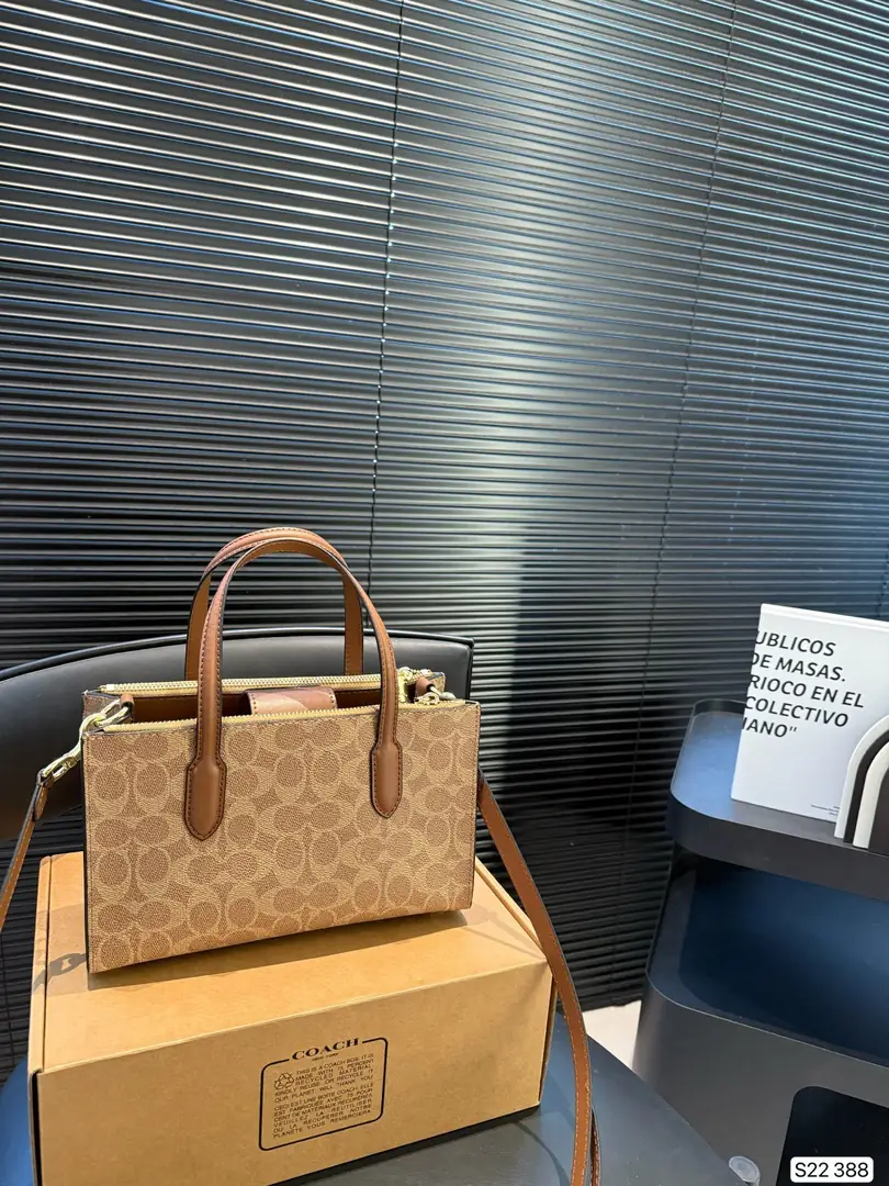 4188-69-coach gallery