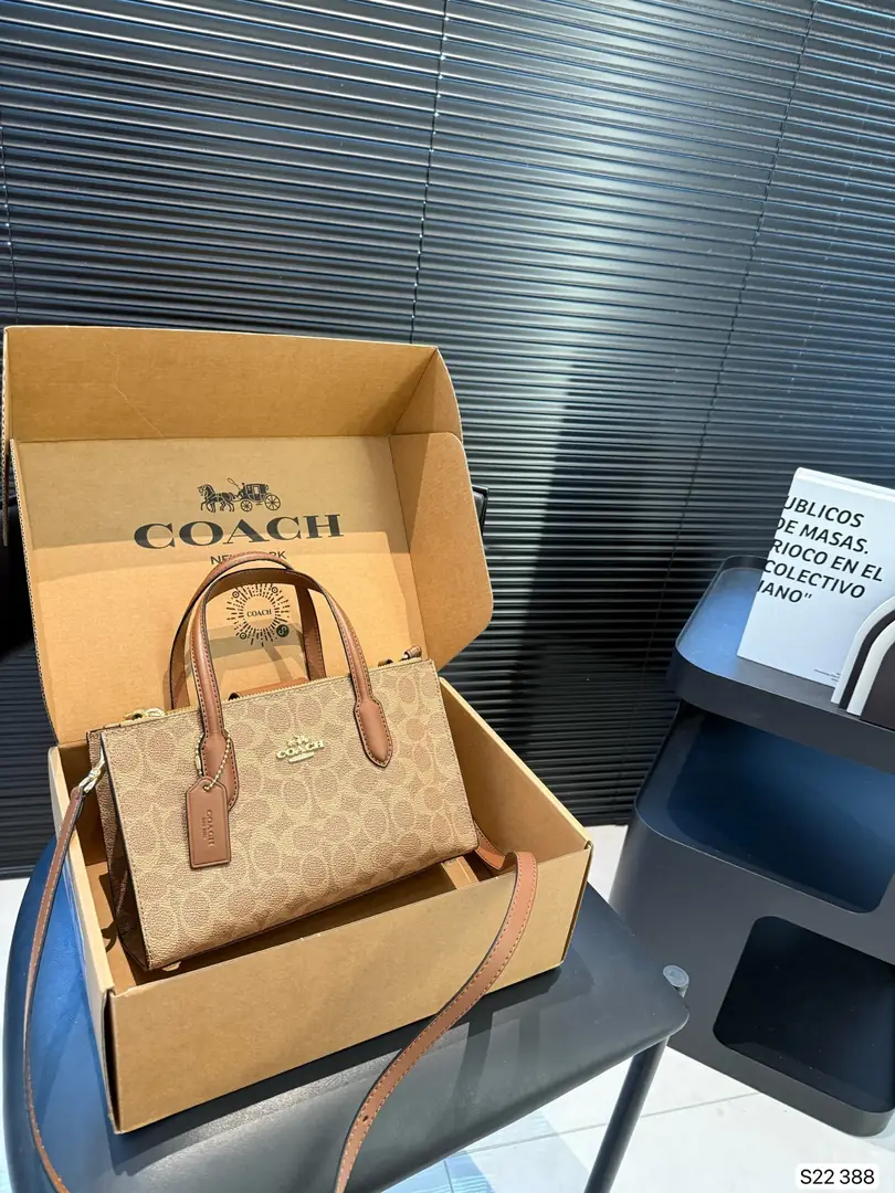 4188-69-coach gallery