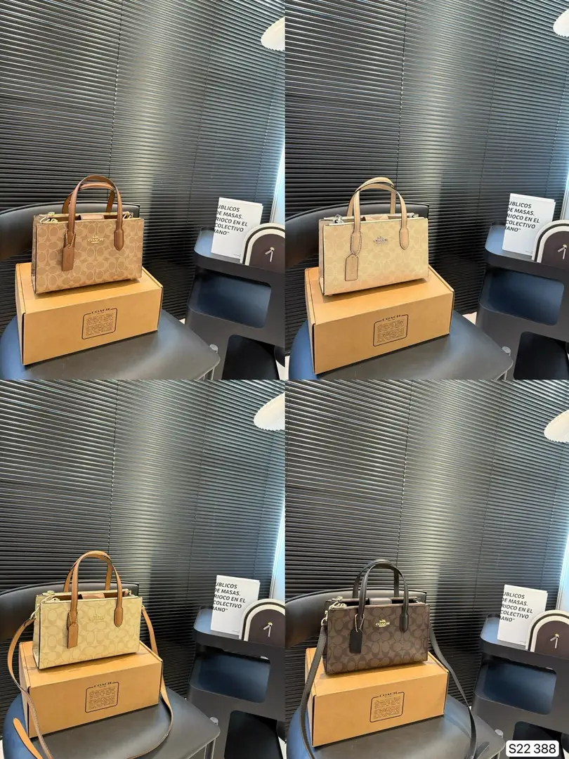 4188-69-coach gallery