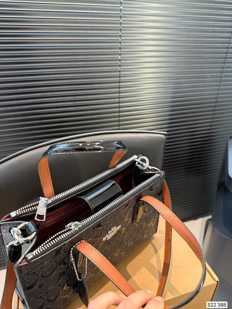 4188-69-coach gallery