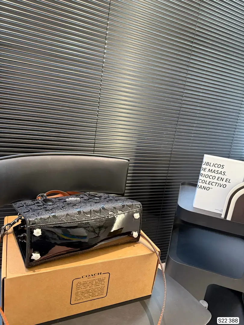 4188-69-coach gallery