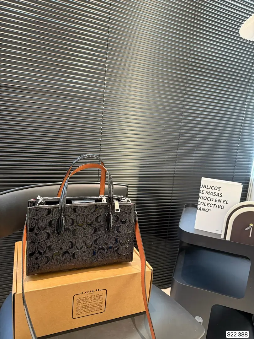 4188-69-coach gallery