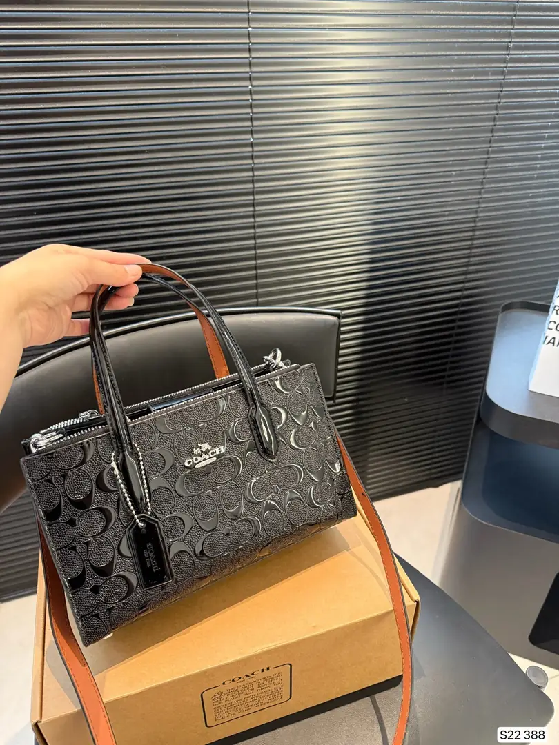 4188-69-coach gallery