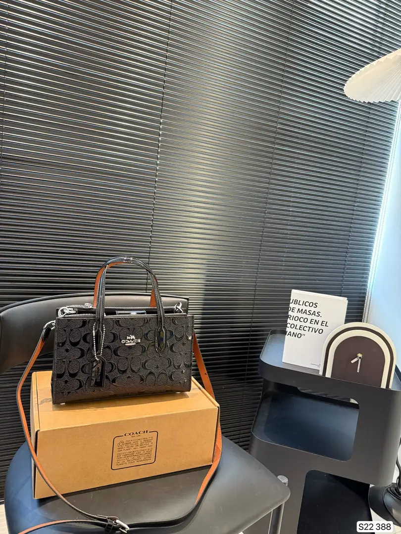 4188-69-coach gallery