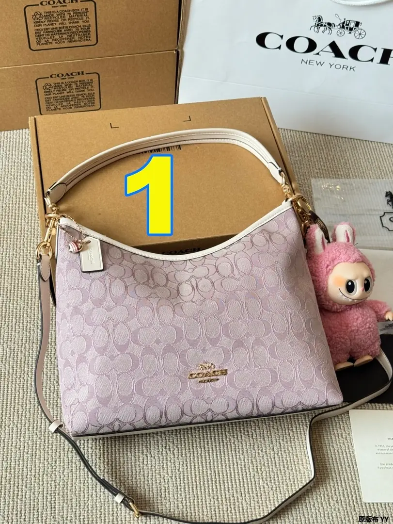 4189-70-coach gallery