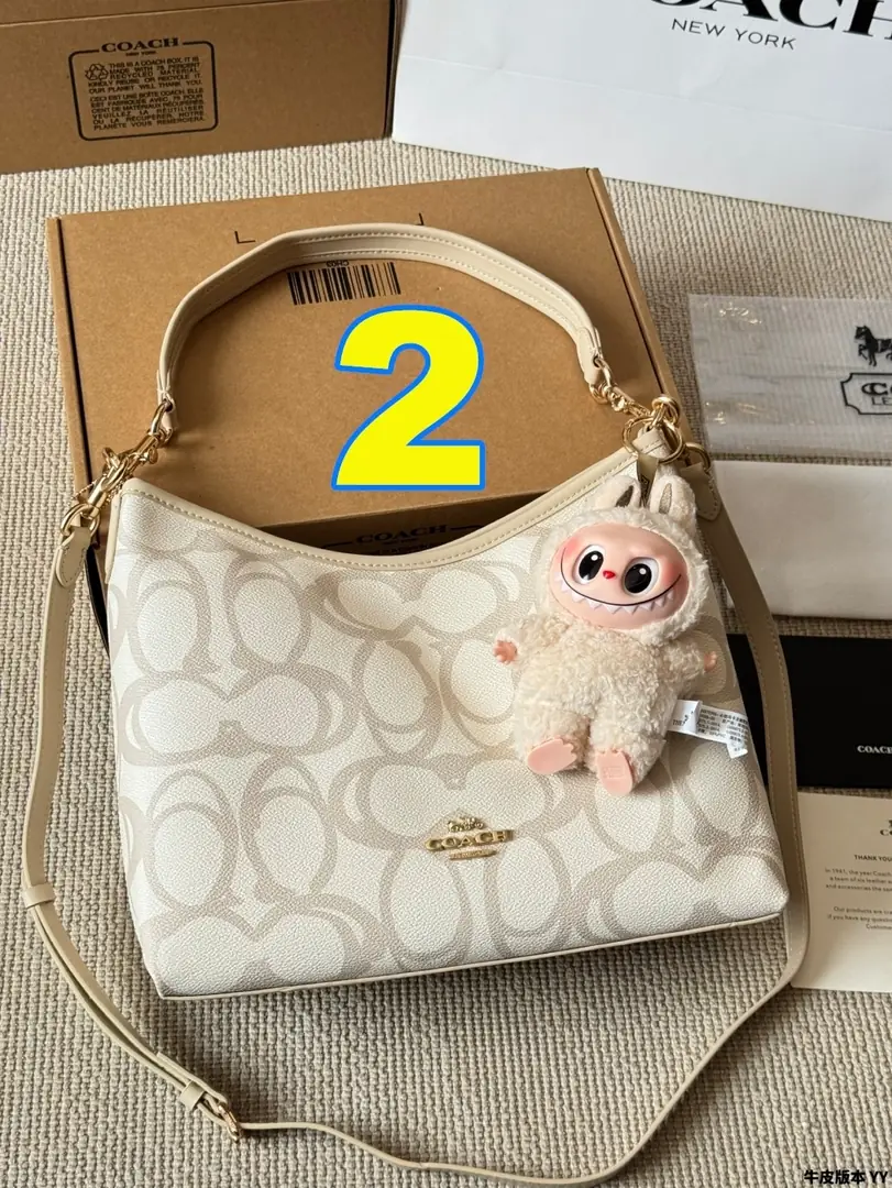 4189-70-coach gallery