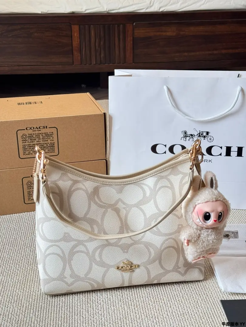 4189-70-coach gallery