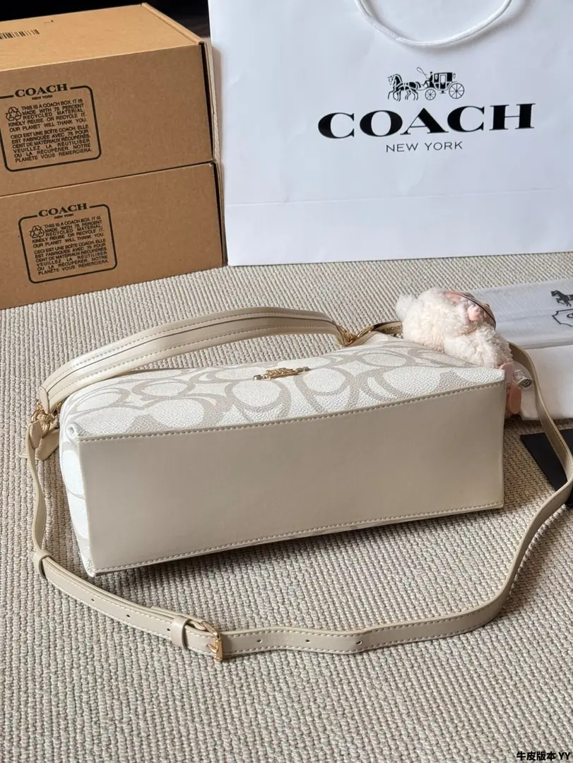 4189-70-coach gallery