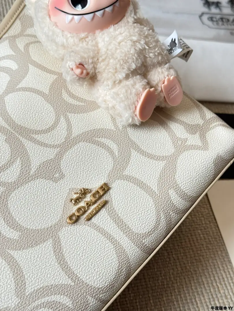 4189-70-coach gallery