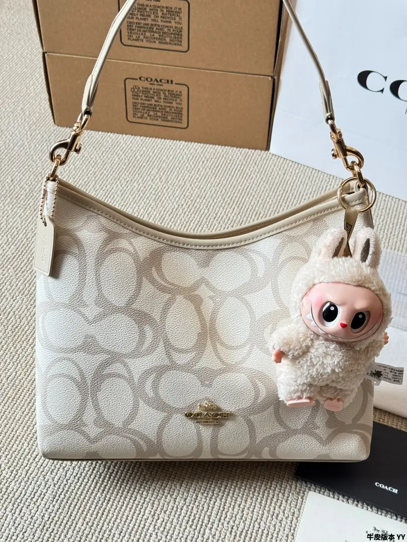 4189-70-coach gallery