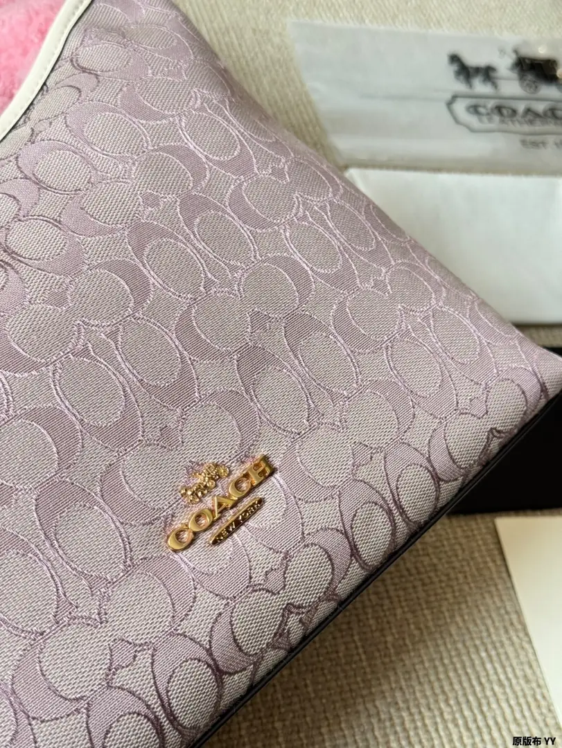 4189-70-coach gallery