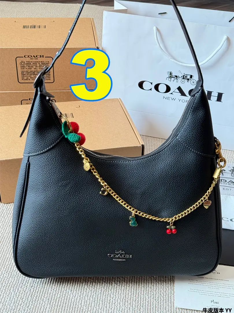 4283-75-coach gallery