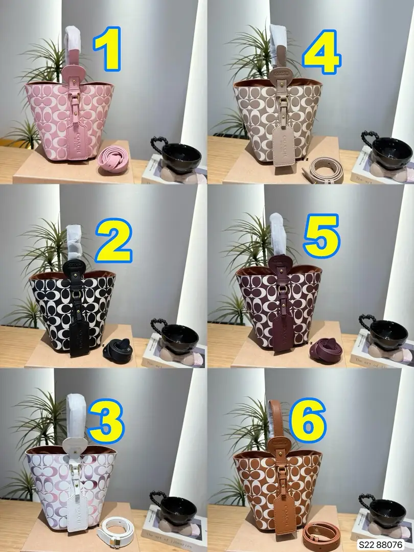 4285-75-coach gallery