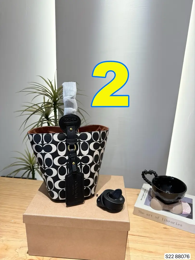 4285-75-coach gallery