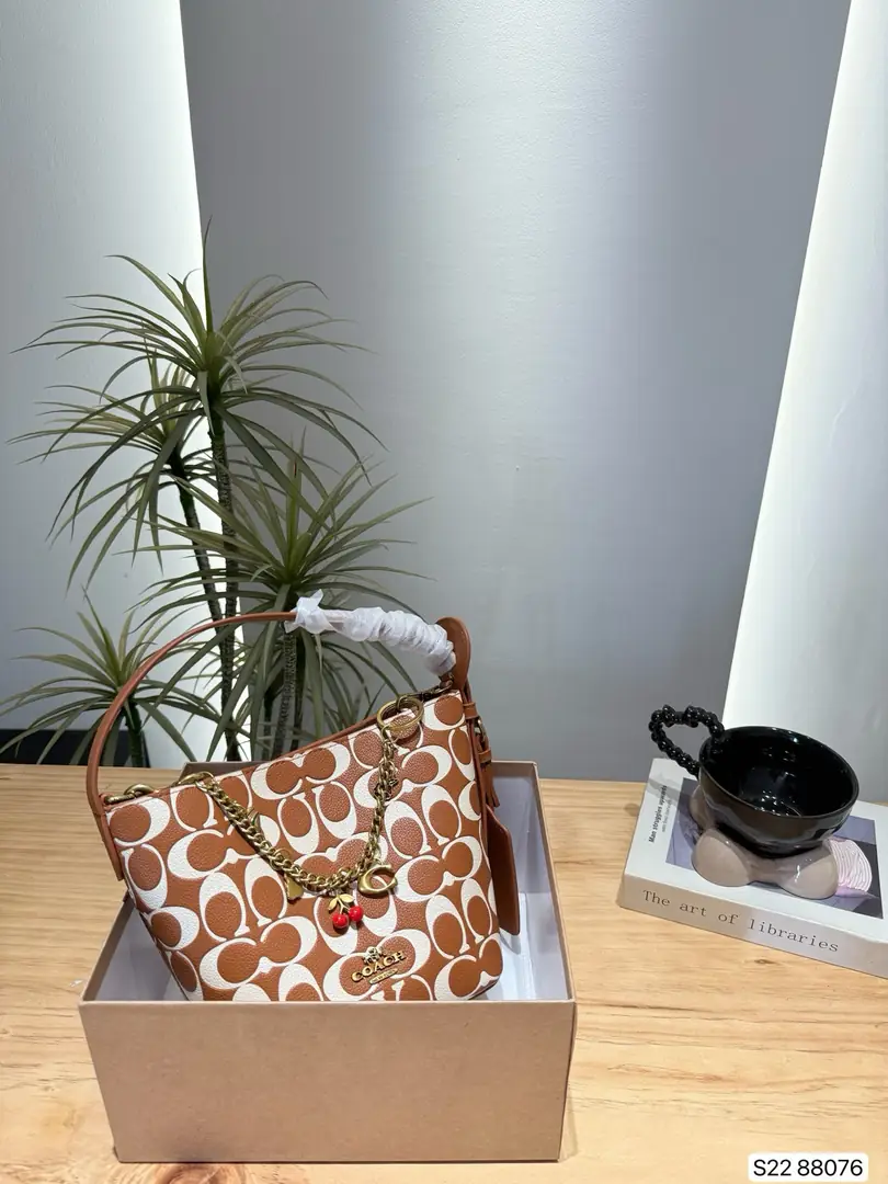 4285-75-coach gallery