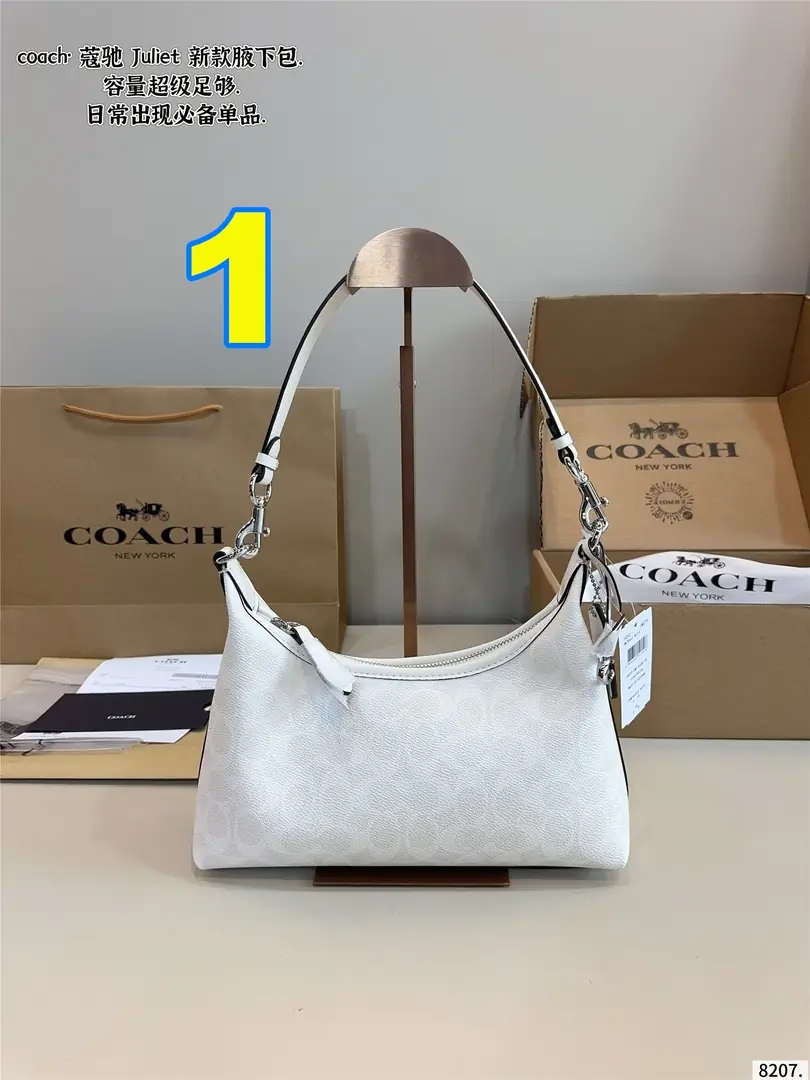 4290-69-coach gallery