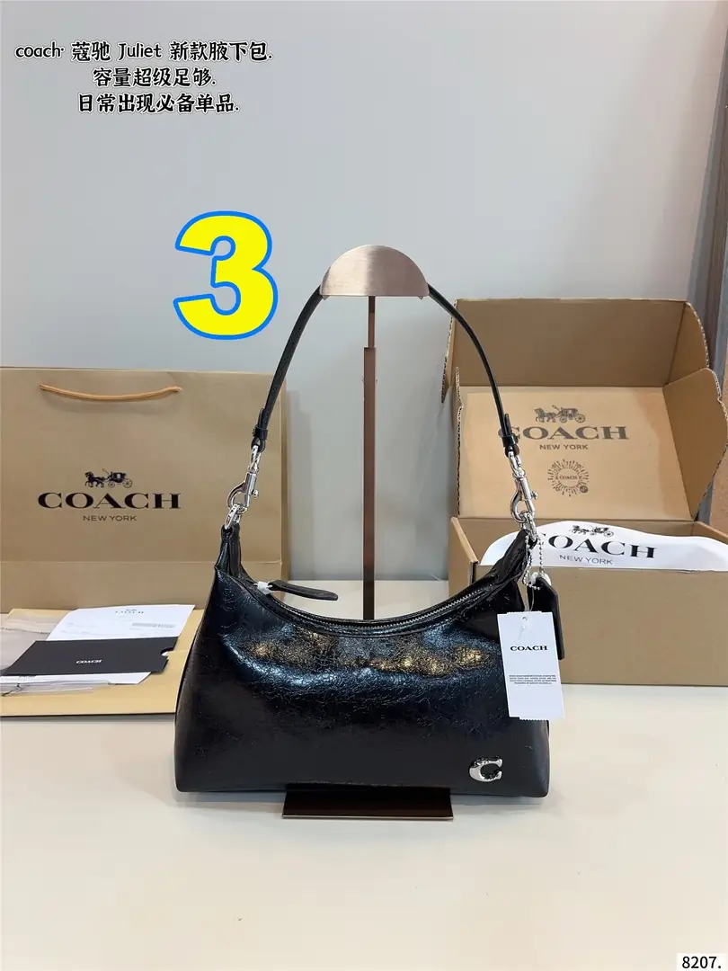 4290-69-coach gallery