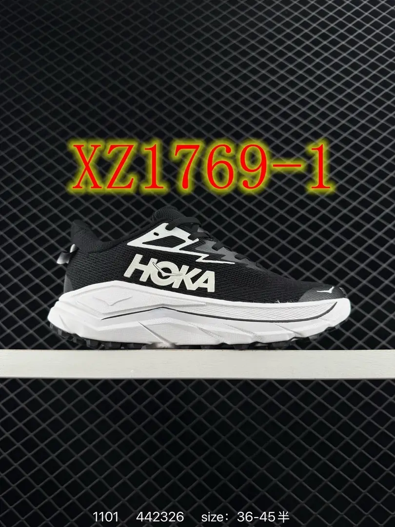 4403-65-HOKA gallery