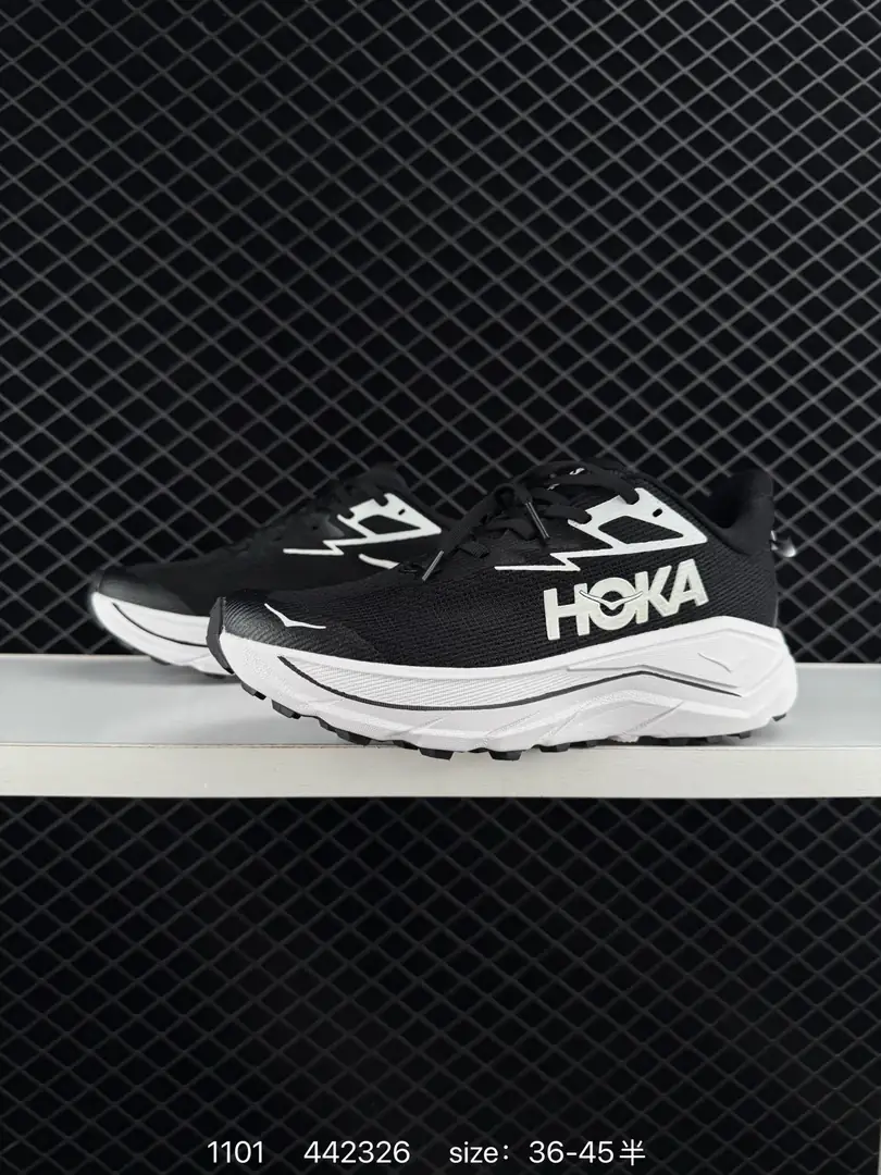 4403-65-HOKA gallery