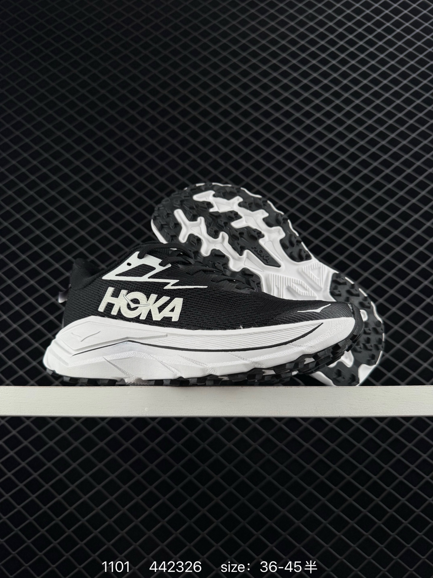 4403-65-HOKA gallery