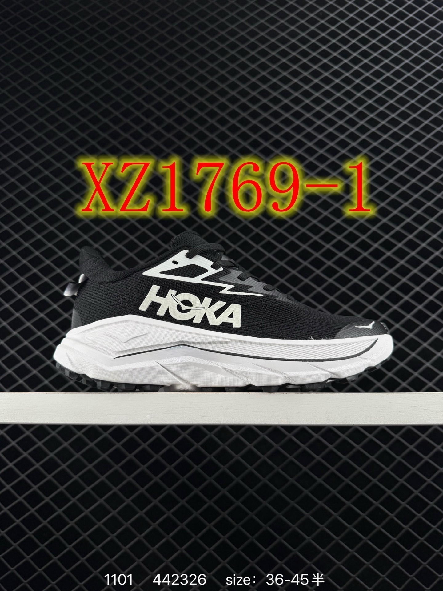 4403-65-HOKA gallery