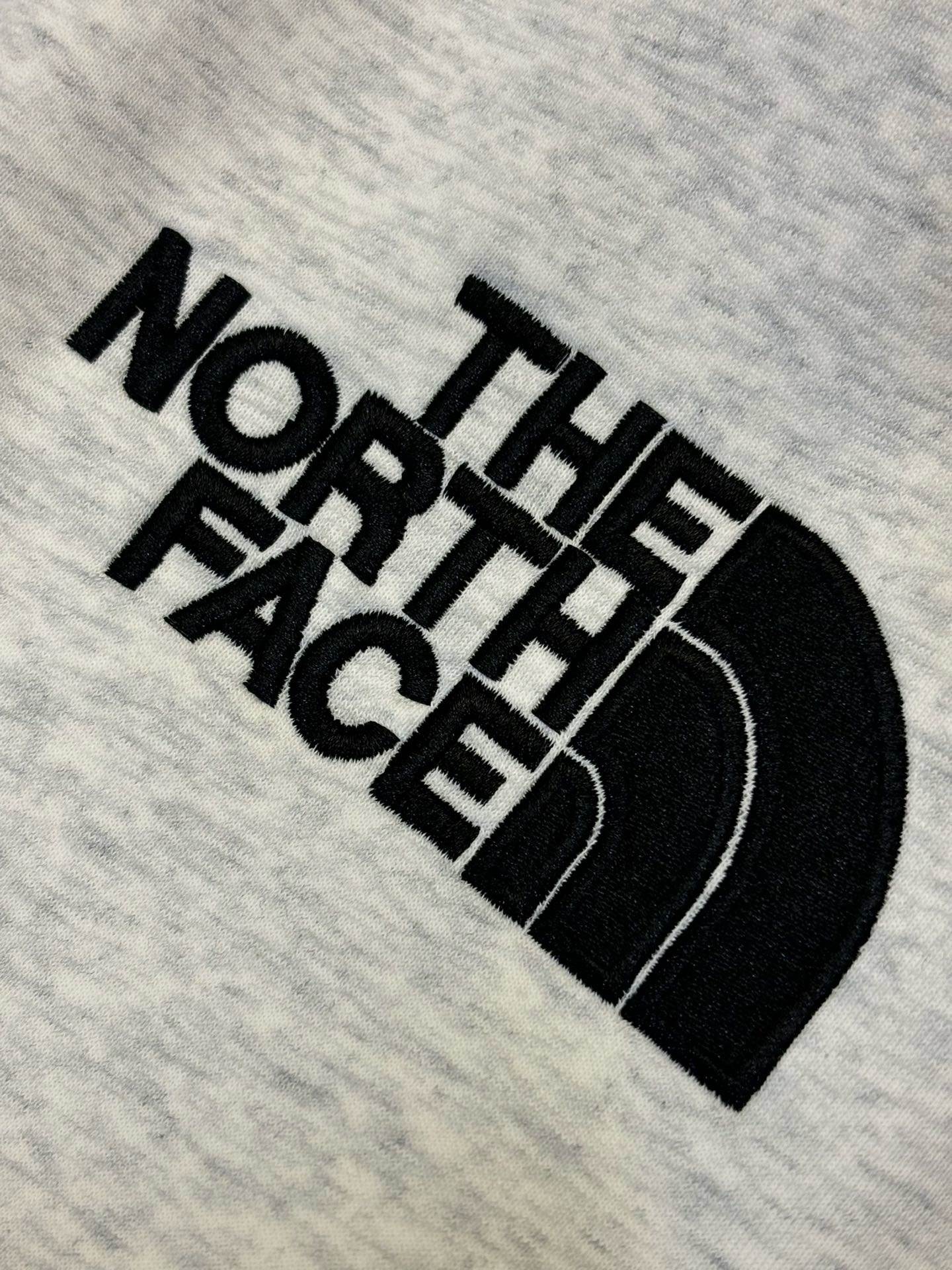 HDA6766 THE NORTH FACE hoodie gallery