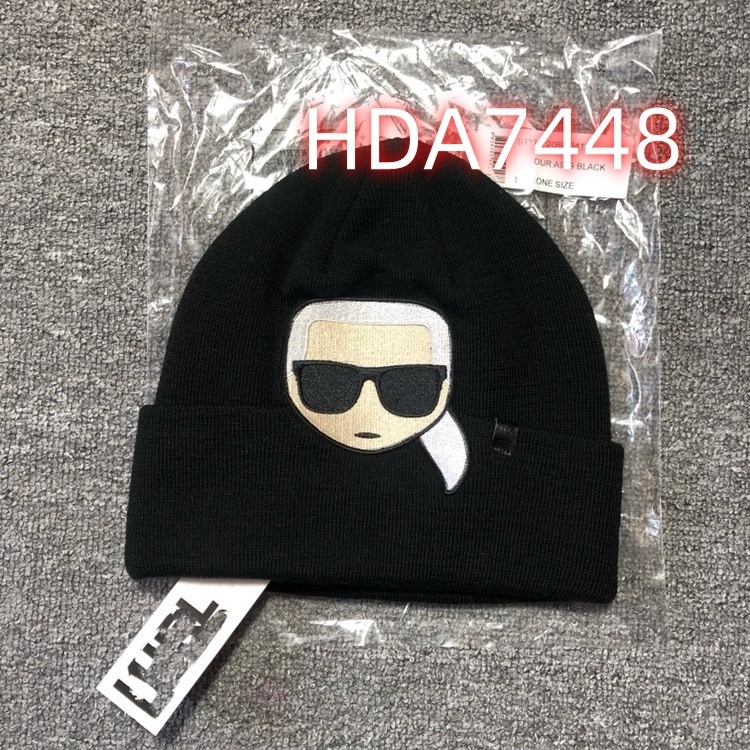 HDA7448 KARL hat gallery