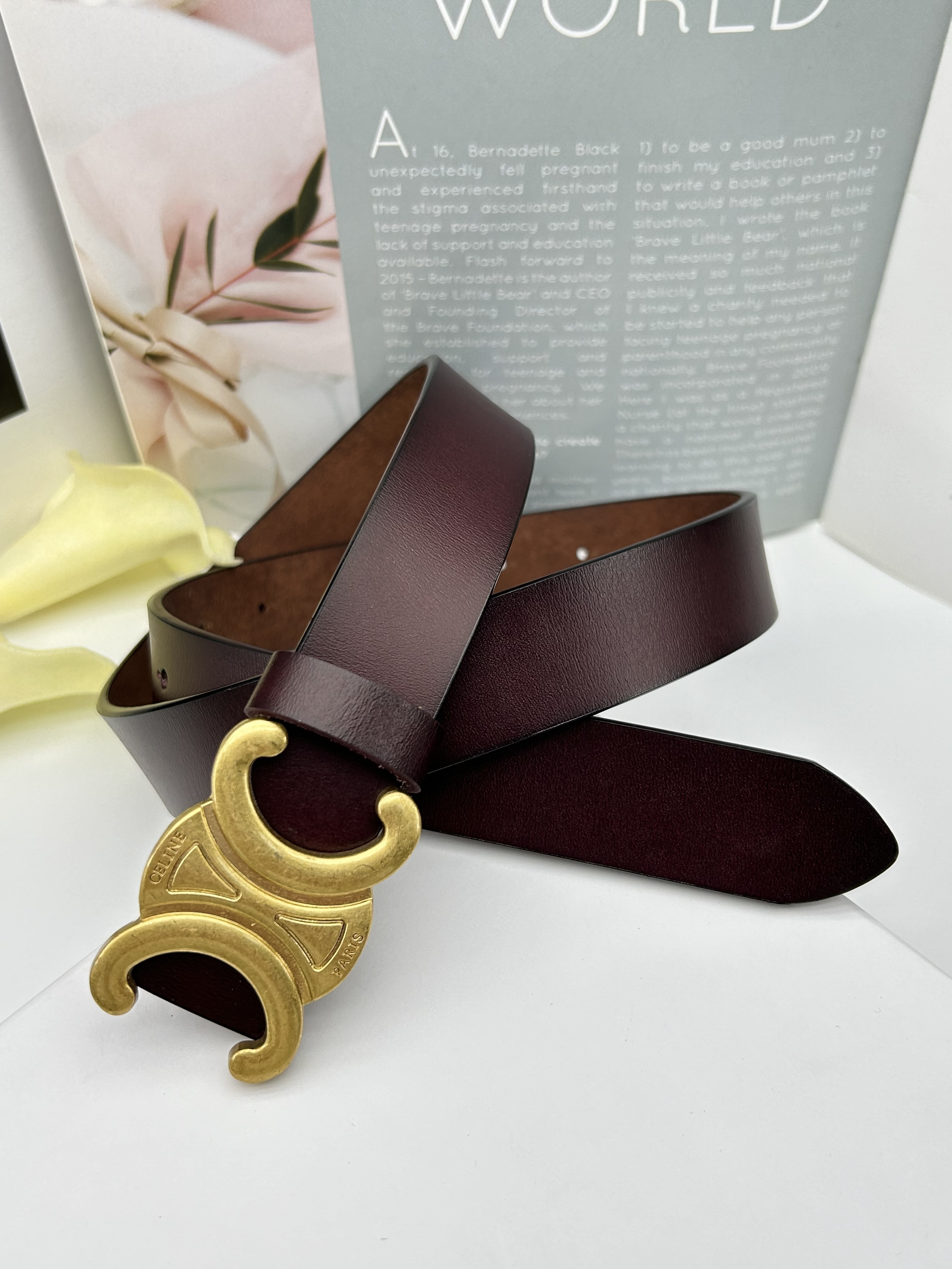 HDA8029 CELINE belt gallery
