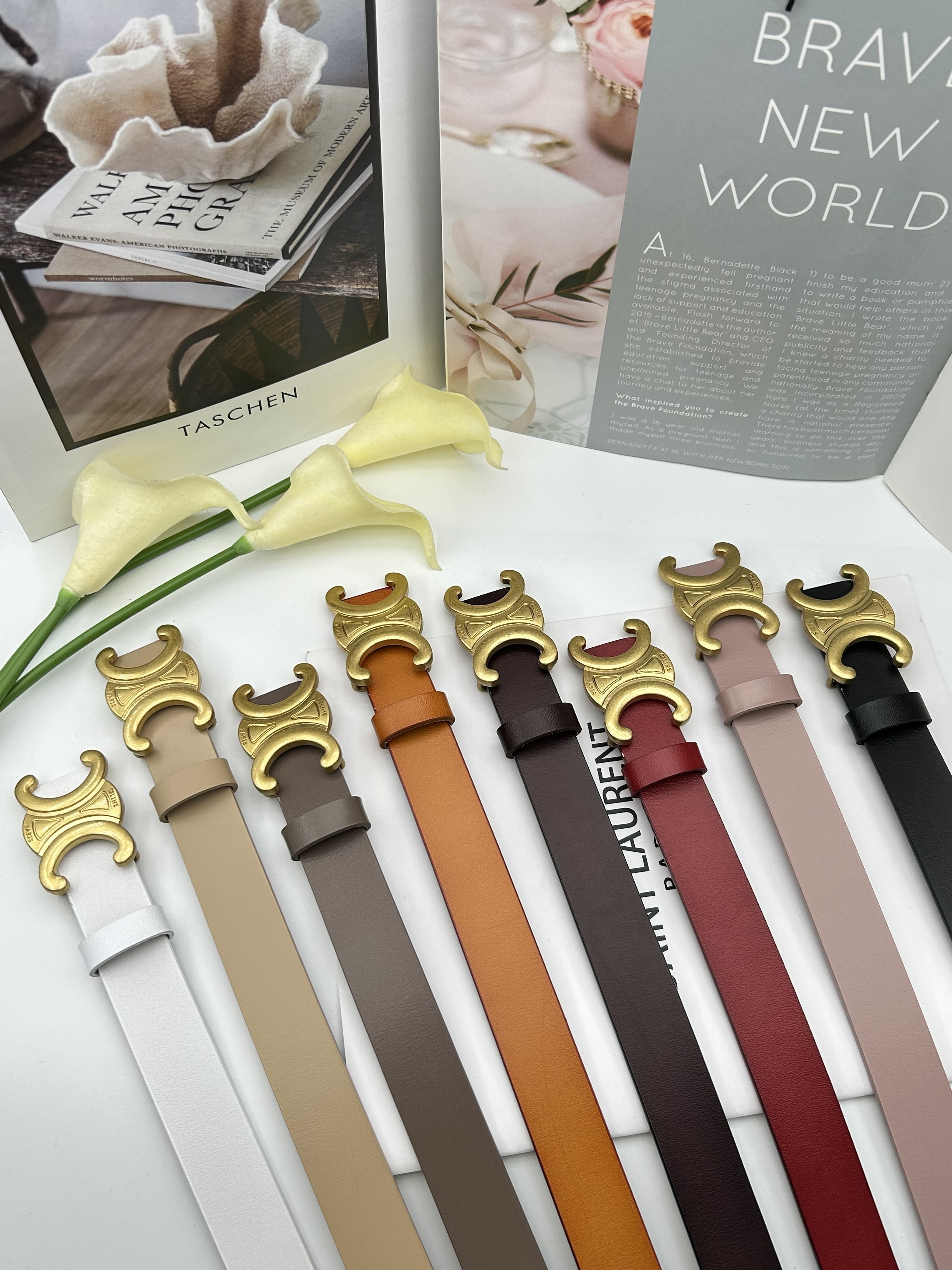 HDA8029 CELINE belt gallery
