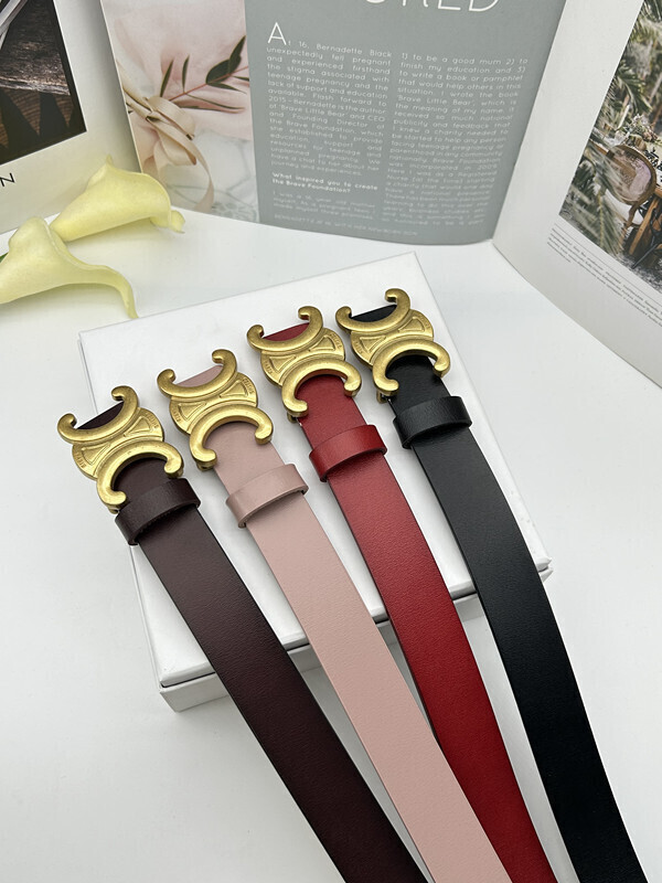 HDA8029 CELINE belt gallery