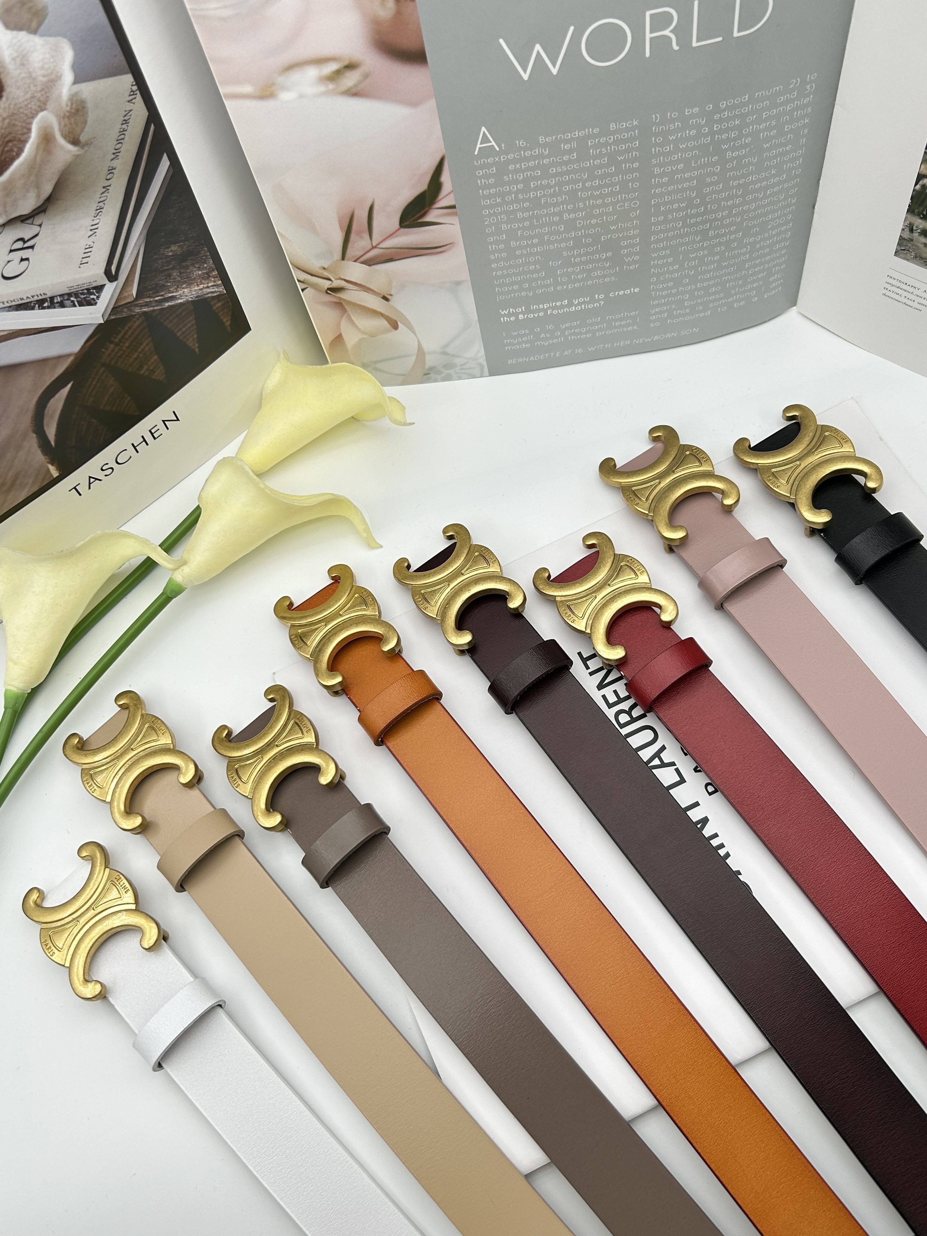 HDA8045 CELINE belt gallery