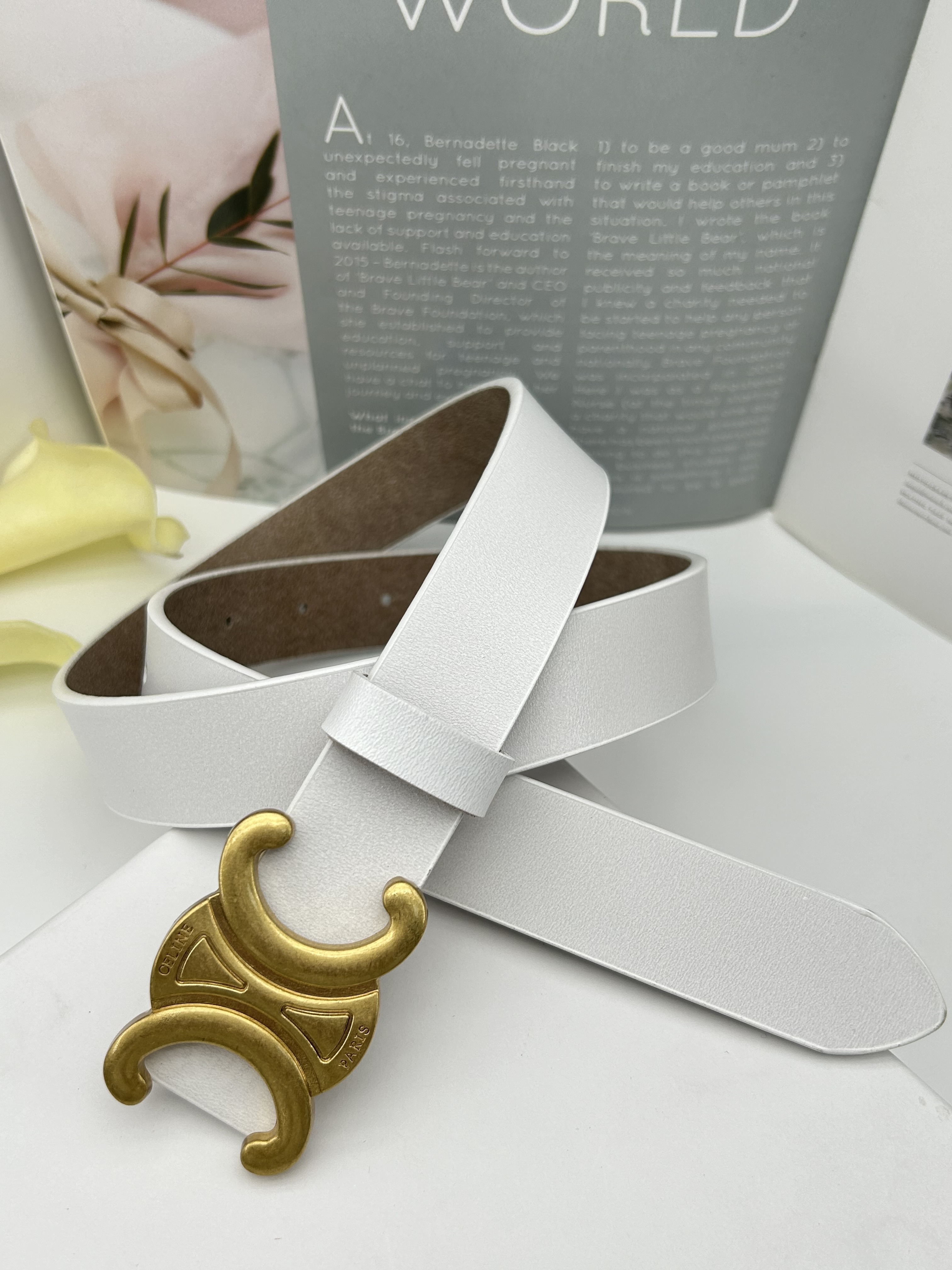 HDA8045 CELINE belt gallery