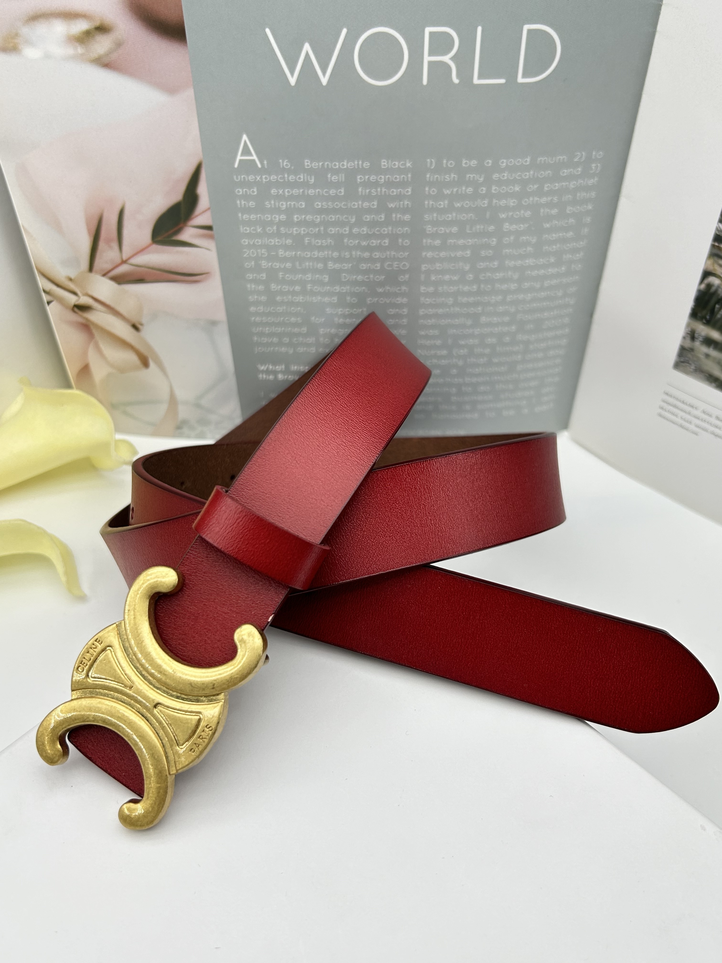 HDA8045 CELINE belt gallery