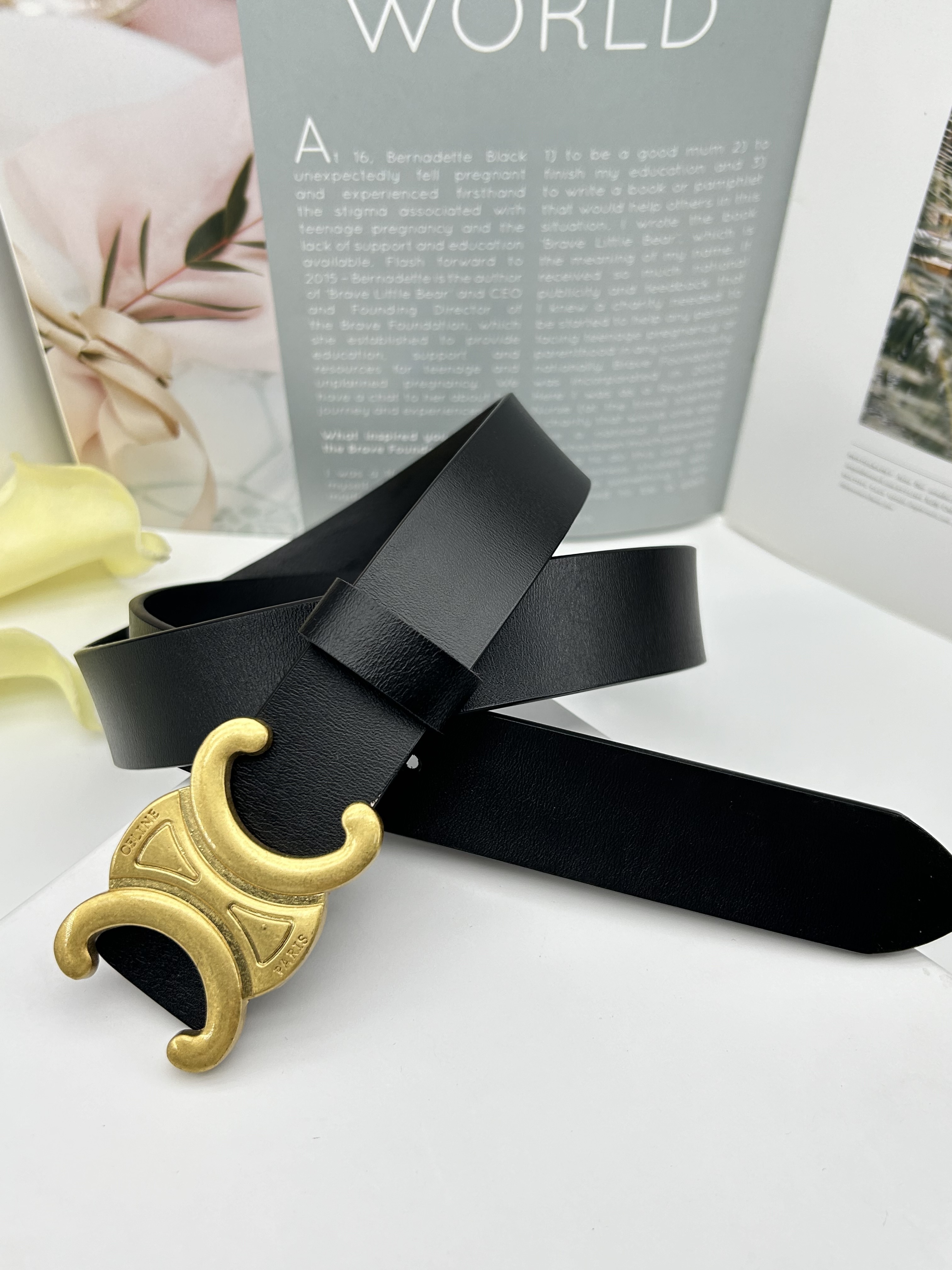 HDA8045 CELINE belt gallery