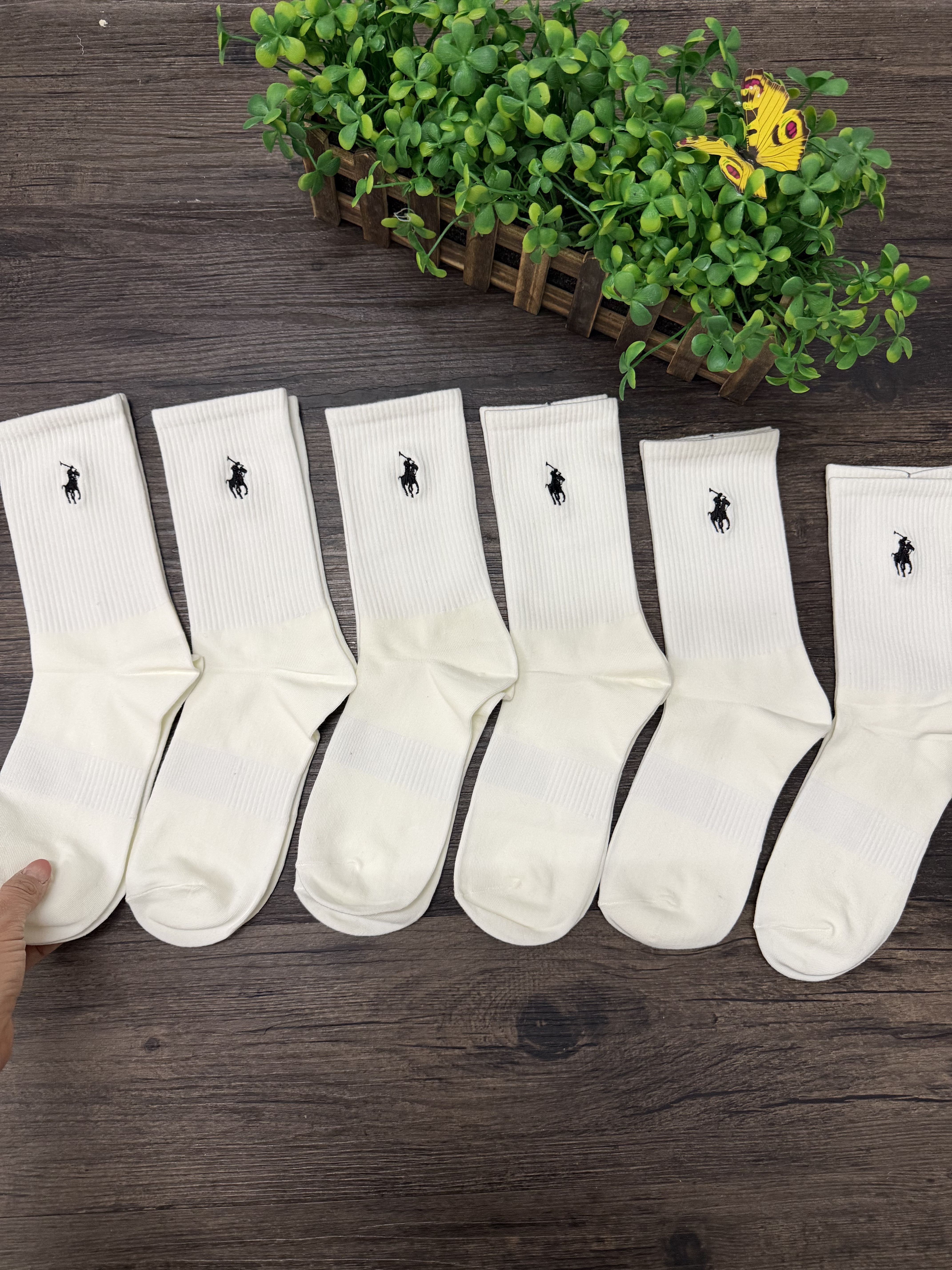 HDA8492 POLO socks 6 pairs/lot long style gallery