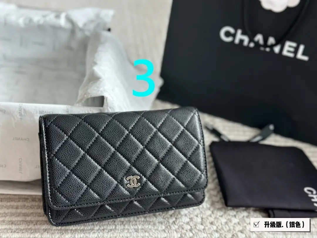 9238-59$-chanel gallery