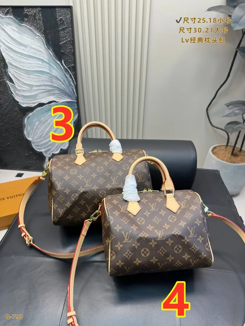 9667-79$-LV gallery