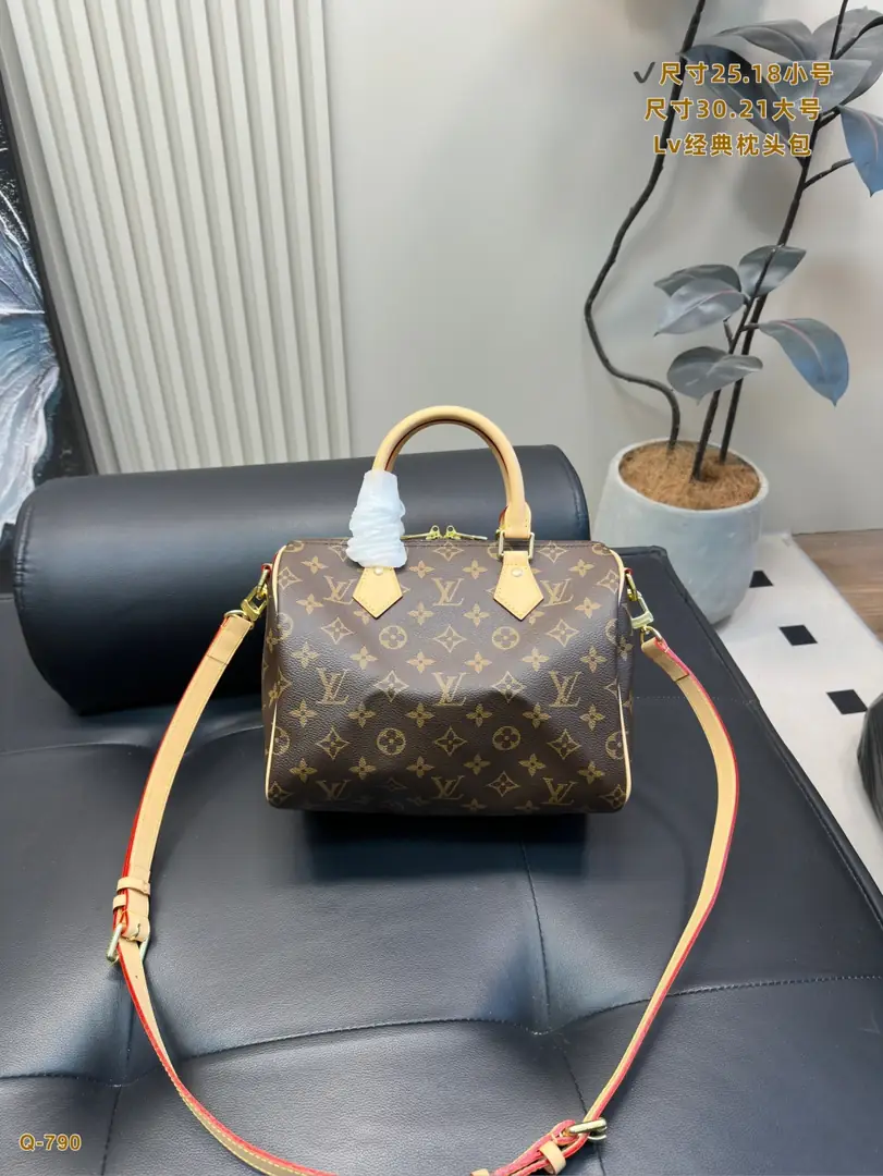 9667-79$-LV gallery