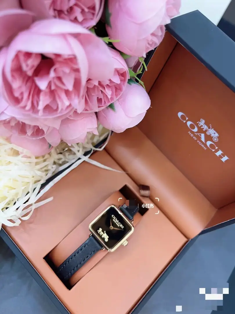 4629-59$-COACH gallery