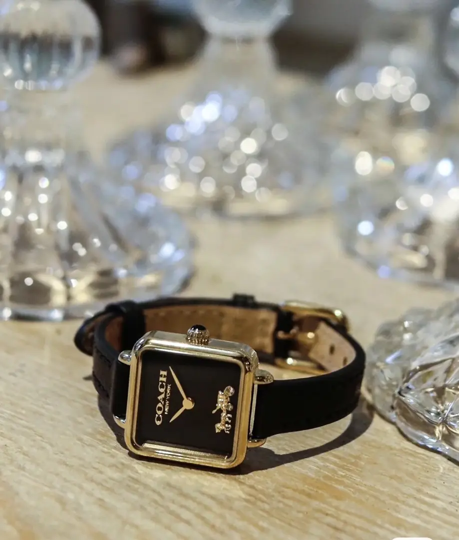 4629-59$-COACH gallery