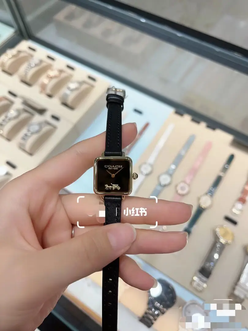 4629-59$-COACH gallery