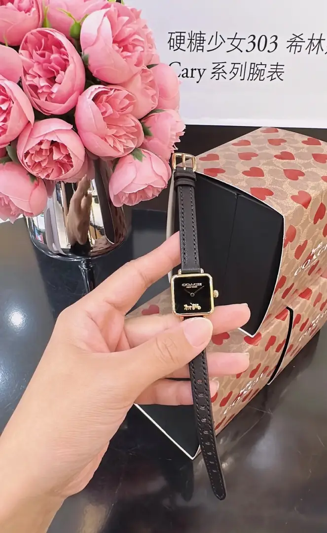 4629-59$-COACH gallery