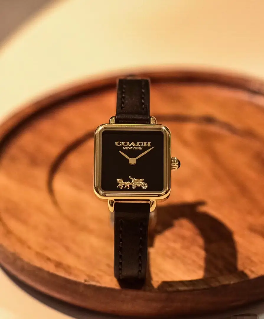 4629-59$-COACH gallery