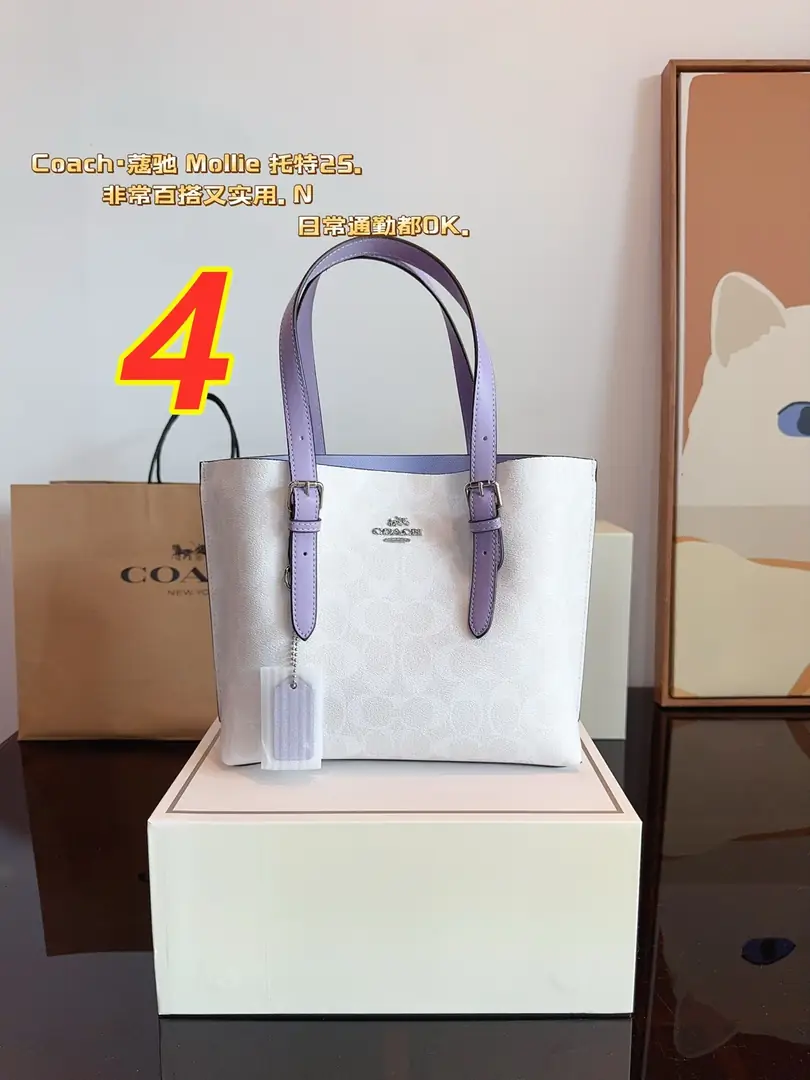 5018-56.8$-coach gallery