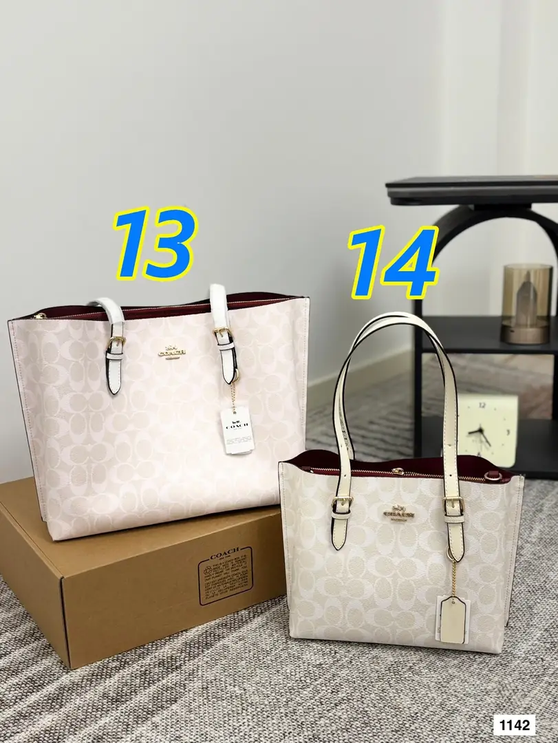 5532-63-COACH gallery