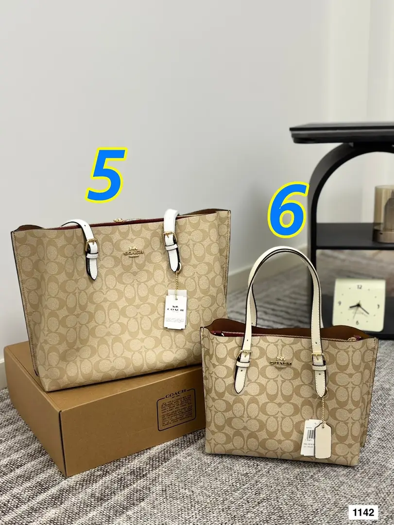 5532-63-COACH gallery